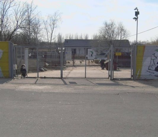 ZS NR 2 „ROLNIK” W TARNOBRZEGU – POSTAW NA SPRAWDZONY ZAWÓD!