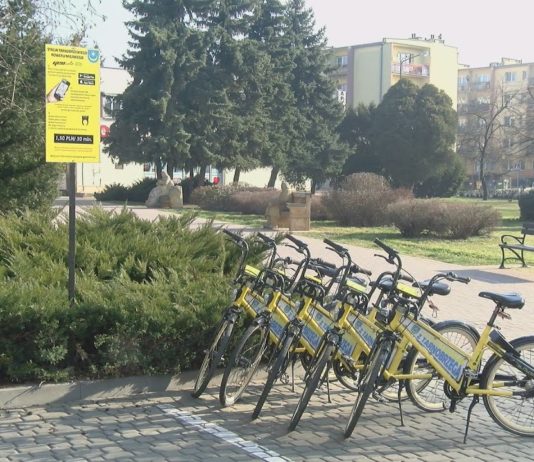 KONIEC SEZONU DLA WISŁY SANDOMIERZ – PEWNA WYGRANA PADWY ZAMOŚĆ