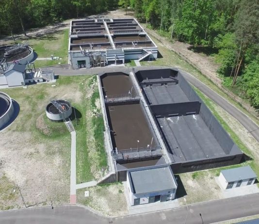 JUBILEUSZOWY BIEG SIARKOWCA – WIELKIE ŚWIĘTO BIEGANIA W TARNOBRZEGU