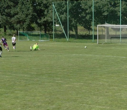 PODZIAŁ PUNKTÓW W STALACH – TRANSDŹWIG ZREMISOWAŁ Z LZS ŹDZIARY