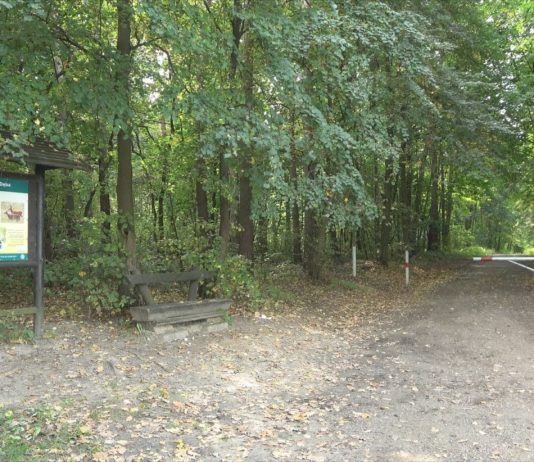 DYSKUSJE O LESIE ZWIERZYNIECKIM – CZY POWSTANIE ZESPÓŁ PRZYRODNICZO-KRAJOBRAZOWY?