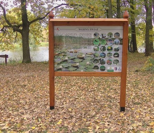 W OCHRONIE PRZYRODY I HISTORII – W GRĘBOWIE POWSTAŁA TEMATYCZNA ŚCIEŻKA