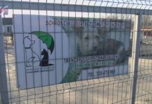 SCHRONISKO POSZUKUJE WOLONTARIUSZY – MACHOWIAKI CZEKAJĄ NA CIEBIE