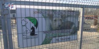 SCHRONISKO POSZUKUJE WOLONTARIUSZY – MACHOWIAKI CZEKAJĄ NA CIEBIE