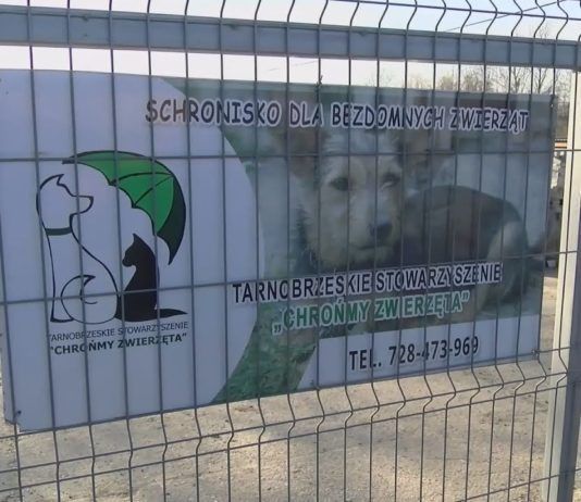 SCHRONISKO POSZUKUJE WOLONTARIUSZY – MACHOWIAKI CZEKAJĄ NA CIEBIE