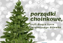 GORZYCE: PORZĄDKI CHOINKOWE