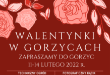 WALENTYNKI W GORZYCACH