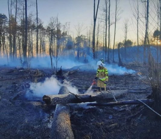 iTV INFO – 25 MARCA 2022