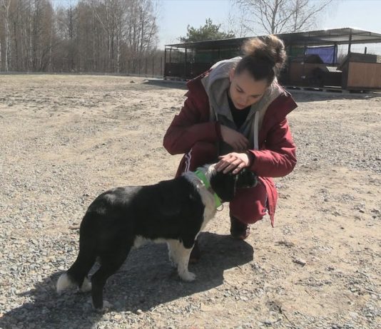 WYCZEKIWANE ZMIANY W NOWEJ DĘBIE – PRZYTULISKO MA NOWĄ SIEDZIBĘ