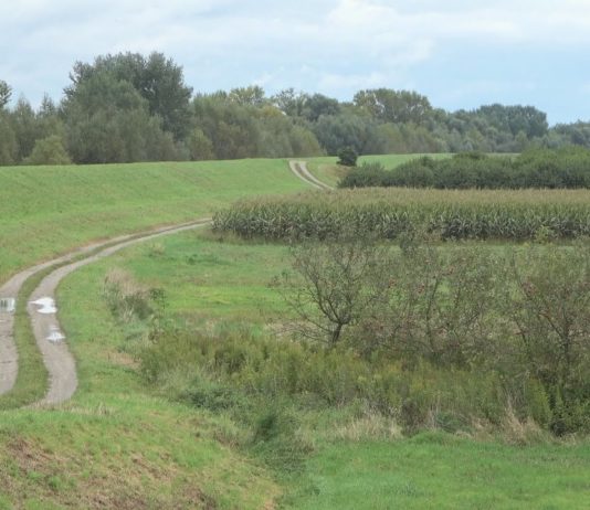 MAPY BĘDĄ AKTUALIZOWANE – KOLEJNE TERENY POD INWESTYCJE ZOSTANĄ UWOLNIONE
