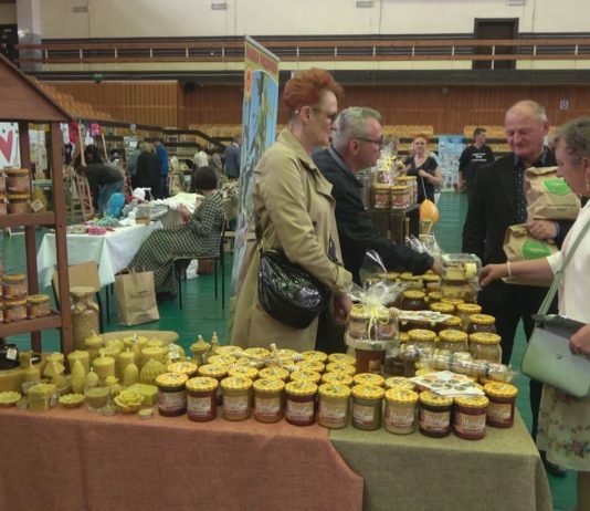 O ZDROWIU I URODZIE – TARNOBRZESKI KIERMASZ POWRÓCIŁ