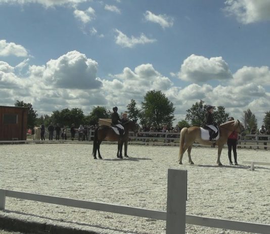 WYDRZAŃSKIE SPOTKANIA JEŹDZIECKIE – NOWA PROPOZYCJA W GMINIE GRĘBÓW