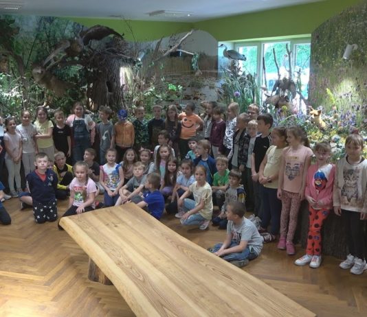 ZABAWA I EDUKACJA W TARNOBRZEGU – DZIEŃ DZIECKA Z „NATURĄ”