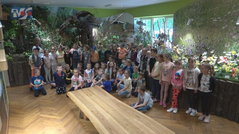 ZABAWA I EDUKACJA W TARNOBRZEGU – DZIEŃ DZIECKA Z „NATURĄ”