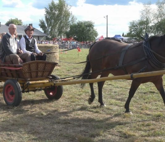 POD ZNAKIEM FURMANEK – PIĄTY ZLOT W GMINIE GORZYCE