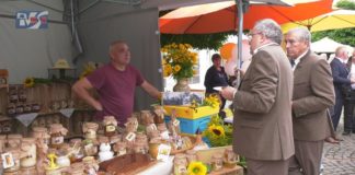 PSZCZOŁY W ROLI GŁÓWNEJ – POWIATOWE ŚWIĘTO MIODU W SANDOMIERZU