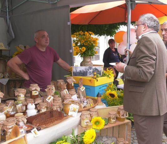PSZCZOŁY W ROLI GŁÓWNEJ – POWIATOWE ŚWIĘTO MIODU W SANDOMIERZU