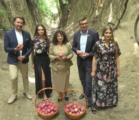 NOWOŚĆ W SANDOMIERZU – PRZED NAMI FESTIWAL JABŁONKI SWAWOLE