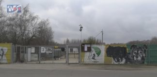 ZAMIESZANIE W MACHOWIE – KTO RZĄDZI W SCHRONISKU?