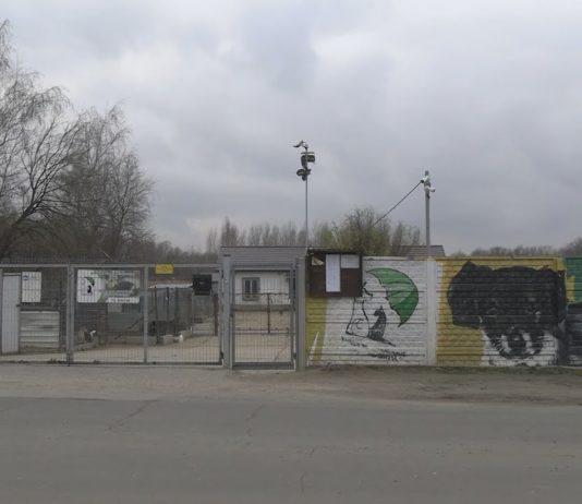 ZAMIESZANIE W MACHOWIE – KTO RZĄDZI W SCHRONISKU?