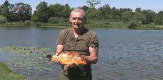 RYBY NA PIERWSZYM PLANIE – ŚWIĘTO W MOTYCZU PODUCHOWNYM