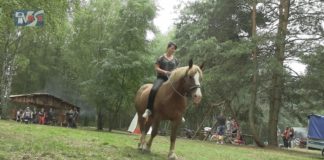 MAŁE BIESZCZADY NA MIEJSCU – RANCZO RENI NA JAGODNIKU