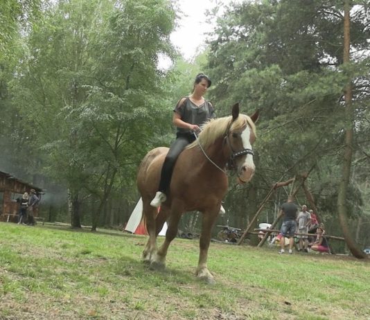MAŁE BIESZCZADY NA MIEJSCU – RANCZO RENI NA JAGODNIKU