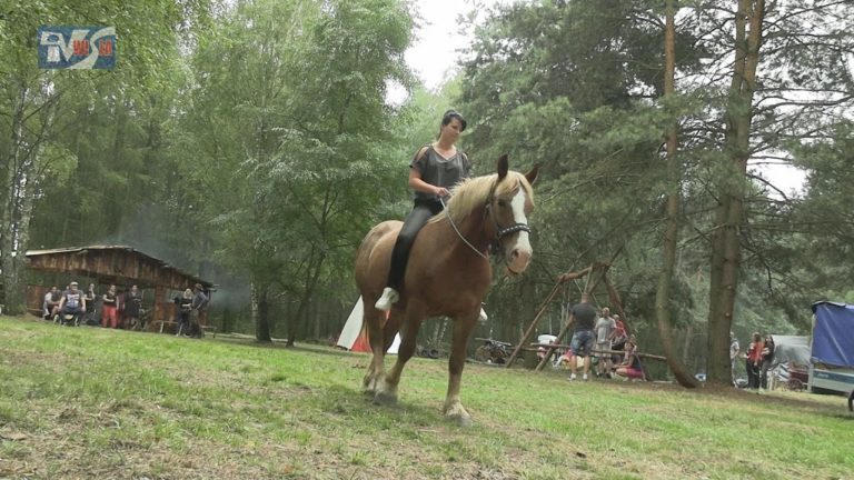 MAŁE BIESZCZADY NA MIEJSCU – RANCZO RENI NA JAGODNIKU