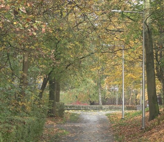 INWESTYCJA W CIENIU OGRANICZEŃ – WIDNO I BEZPIECZNIE W TARNOBRZEGU