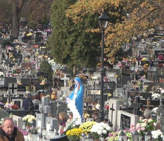 iTV INFO – 4 LISTOPADA 2022