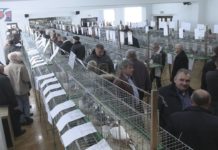 iTV INFO – 16 GRUDNIA 2022