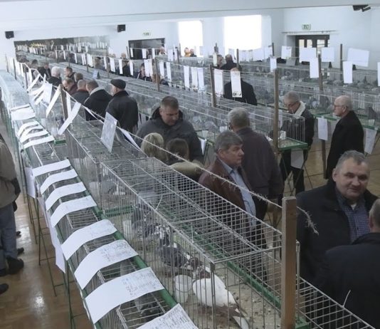 iTV INFO – 16 GRUDNIA 2022