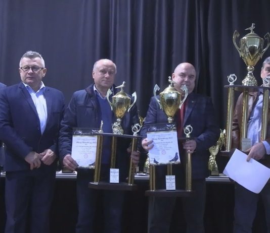 GOŁĘBIE POCZTOWE ZAPREZENTOWANE – OKRĘGOWA WYSTAWA W GRĘBOWIE