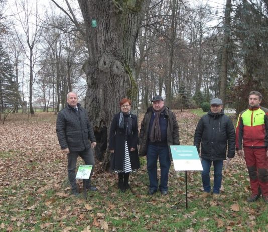GRĘBÓW: KOLEJNE INWESTYCJE W SPECJALNYM OŚRODKU SZKOLNO-WYCHOWAWCZYM