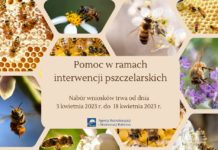 ARiMR POMOC DLA PSZCZELARZY