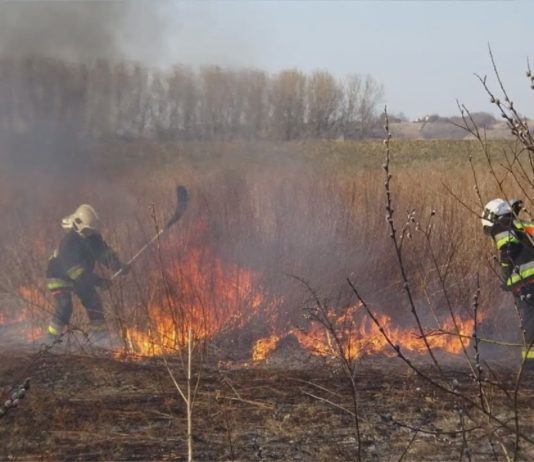 iTV INFO – 17 MARCA 2023