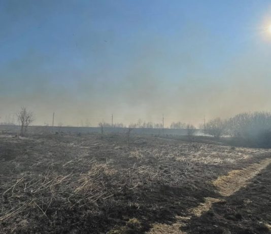 STRAŻACY APELUJĄ O ROZSĄDEK – STOP WYPALANIU TRAW