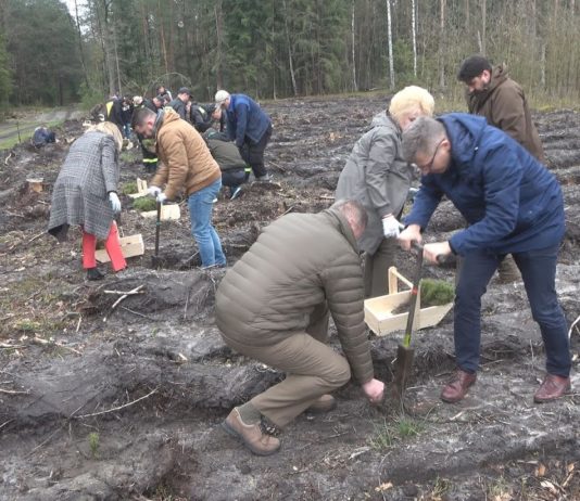 ZASADZILI LAS PAPIESKI – AKCJA ŁĄCZĄ NAS DRZEWA W NOWEJ DĘBIE