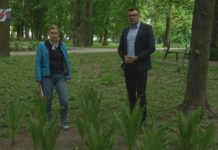 MNIEJ KOSZENIA W SANDOMIERZU – OGROMNE ZMIANY W OGRODZIE SASKIM