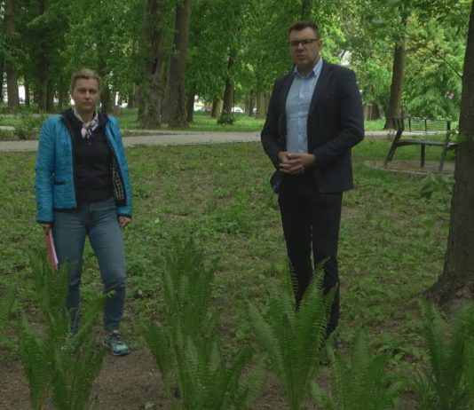 MNIEJ KOSZENIA W SANDOMIERZU – OGROMNE ZMIANY W OGRODZIE SASKIM