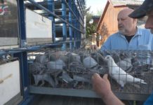 GOŁĘBIE ZNÓW W AKCJI – TARNOBRZESKI ODDZIAŁ ROZPOCZĄŁ NOWY SEZON