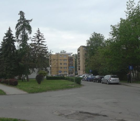 PRZYWIŚLE WCIĄŻ MA BYĆ ZIELONE – PROTESTY MIESZKAŃCÓW PRZYNIOSŁY EFEKTY