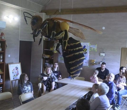 NIEZWYKŁA ZAGRODA EDUKACYJNA – PASIEKA U TRUTNIA W ZABRNIU