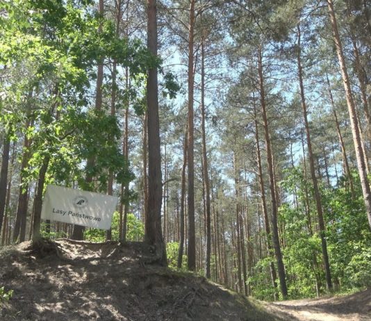 iTV INFO – 9 CZERWCA 2023