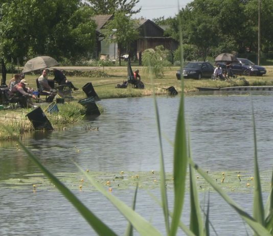 WĘDKARZE POKAZALI SWOJĄ DZIAŁALNOŚĆ – ŚWIĘTO RYBY W MOTYCZU PODUCHOWNYM