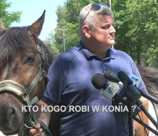 ZARZĄDZANIE I KOMUNIKACJA NAD JEZIOREM TARNOBRZESKIM – KTO KOGO ROBI W KONIA?