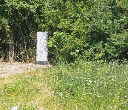 AWANTURA O MASZT W ZAKRZOWIE – KTÓRA STRONA MA RACJĘ?