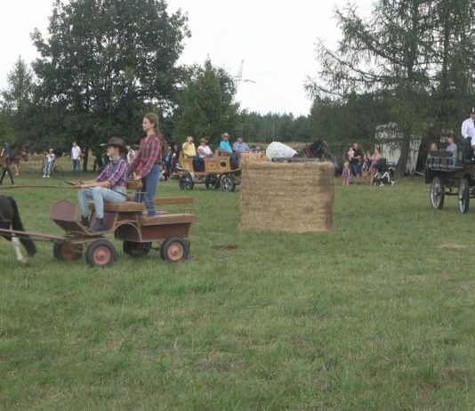 ŚWIETNA ZABAWA W FURMANACH – W GMINIE GORZYCE KONIE NA PIERWSZYM PLANIE