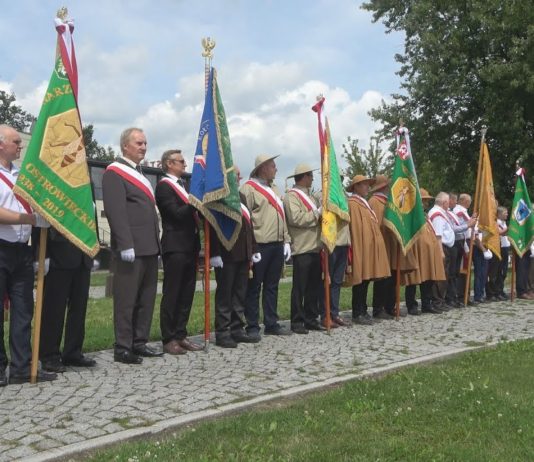 POWIATOWE ŚWIĘTO MIODU – W SANDOMIERZU PSZCZOŁY W ROLI GŁÓWNEJ