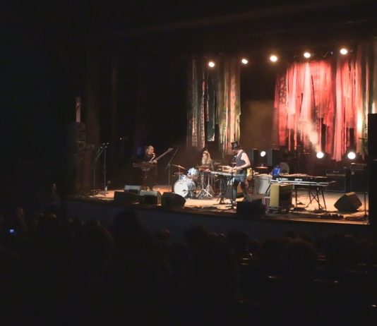 GWIAZDY MUZYKI I MISTRZOWIE RYSUNKU – FESTIWAL SATYRBLUES W TARNOBRZEGU